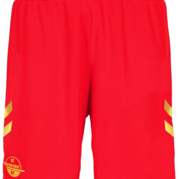 Herren Puma 1. FC Heidenheim 1846 Auswärtstrikot 26/27 Shorts